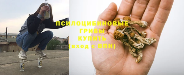 МДПВ Дмитров