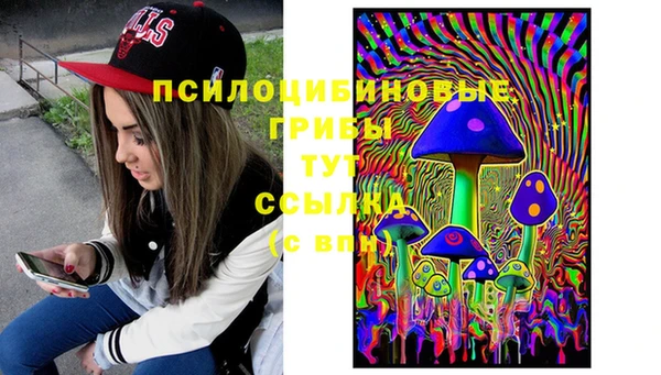 МДПВ Дмитров