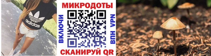Псилоцибиновые грибы Psilocybe  Купить закладки  Бугульма 