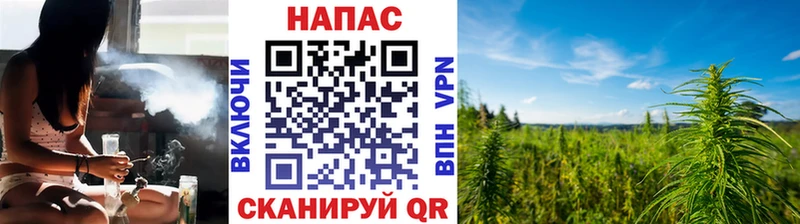 Купить  Бугульма  Бошки марихуана ГИДРОПОН 